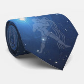 アクエリアス ネクタイ (ロール)