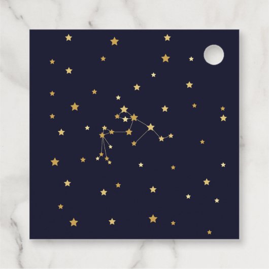 アクエリアス〔占星術の〕十二宮図ありがとうベビーシャワー フェイバータグ (裏面)