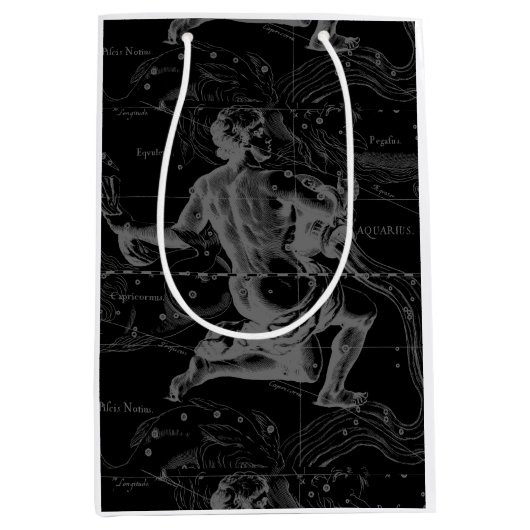 アクエリアス〔占星術の〕十二宮図コンステレーション版木、銅版、版画ヘベリアス ミディアムペーパーバッグ (正面)