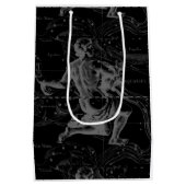 アクエリアス〔占星術の〕十二宮図コンステレーション版木、銅版、版画ヘベリアス ミディアムペーパーバッグ (裏面)