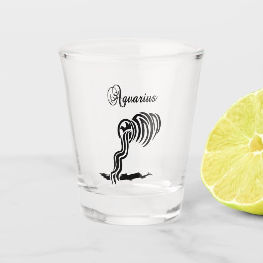 アクエリアス〔占星術の〕十二宮図サイングラス ショットグラス (正面)