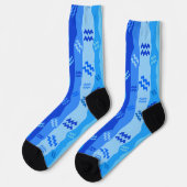 アクエリアス〔占星術の〕十二宮図ストライプ ソックス (左)