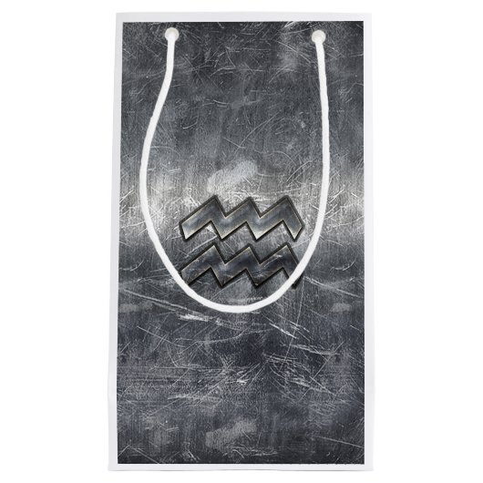 アクエリアス〔占星術の〕十二宮図動揺してサインシルバースチール スモールペーパーバッグ (正面)