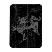 アクエリアス〔占星術の〕十二宮図星座ヘベリアス1690 マグネット (縦)