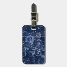 アクエリアス〔占星術の〕十二宮図標識ヴィンテージイラストレーション ラゲッジタグ