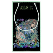 アクエリアス〔占星術の〕十二宮図 スモールペーパーバッグ (裏面)