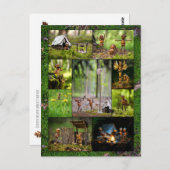 アクオ最高のン小妖精や小人キャンプの写真モザイク後交差 ポストカード (正面/裏面)