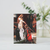 アクコラード – プードル(TWO Standard) ポストカード (スタンド正面)