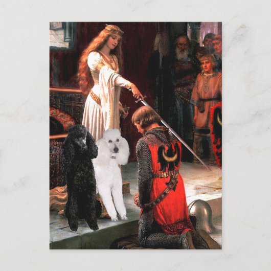 アクコラード – プードル(TWO Standard) ポストカード (正面)