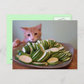 アクションのコール ポストカード (正面/裏面)