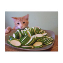 アクションのコール