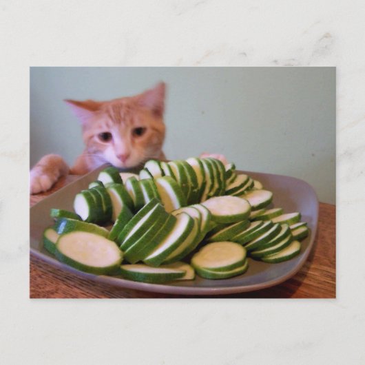 アクションのコール ポストカード (正面)