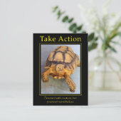 アクションの実行 ポストカード (スタンド正面)