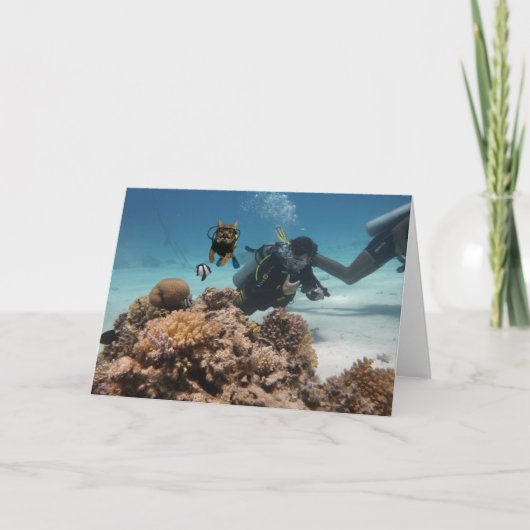 アクションキャッツ！カード カード (正面)