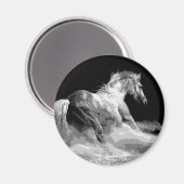 アクション内の白黒の馬 マグネット (正面/裏面)