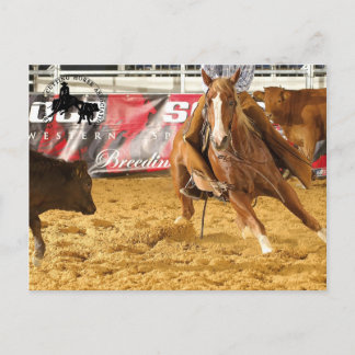 アクセサリーズカベルネットCHAカルテポスターレ5 ポストカード