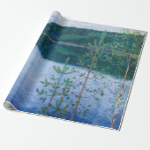 アクセリガレンカレーラ – 春ナイト ラッピングペーパー (アンロールド)