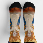 アクセリガレン – カレーラ – アドアストラ ソックス (上部)