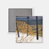 アクセリガレン – カレーラ – 秋 マグネット (正面/裏面)