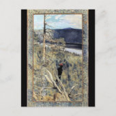 アクセリガレン – カレーラ – 素晴らしブラックウッドペッカー ポストカード (正面)