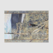 アクセリガレン – カレーラ – 素晴らしブラックウッドペッカー 薄葉紙 (正面)