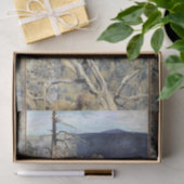 アクセリガレン – カレーラ – 素晴らしブラックウッドペッカー 薄葉紙 (ギフト)