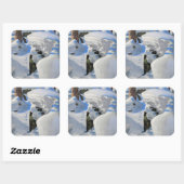 アクセリ・ガッレン・カレラ - ヒグマの巣穴 スクエアシール (シート)