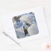 アクセリ・ガッレン・カレラ - ヒグマの巣穴 スクエアシール (封筒)