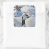 アクセリ・ガッレン・カレラ - ヒグマの巣穴 スクエアシール (バッグ)