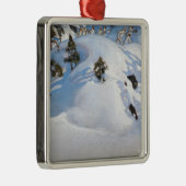 アクセリ・ガレン・カレーラ – February Vision メタルオーナメント (右)