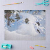 アクセリ・ガレン・カレーラ – February Vision 薄葉紙 (クラフト)