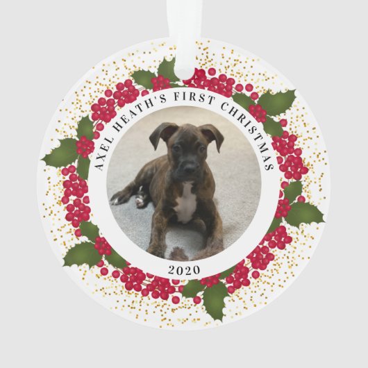 アクセル初めてのクリスマスオーナメント オーナメント (裏面)