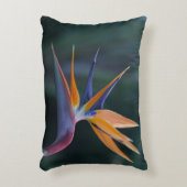 アクセントの枕極楽鳥 アクセントクッション (正面(垂直))