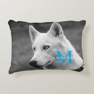  アクセントクッション