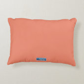 アクセントピロー無地の（サーモン） RFPMDesigns 2024 ©️ アクセントクッション (裏面)