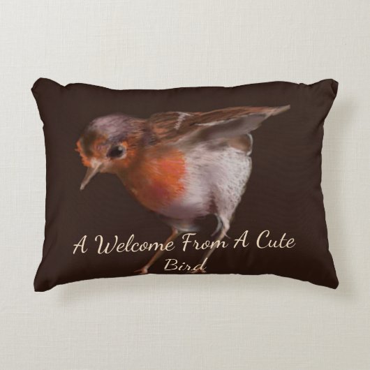 アクセントピロー (正面)