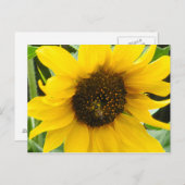 アクセント忙しビー ポストカード (正面/裏面)