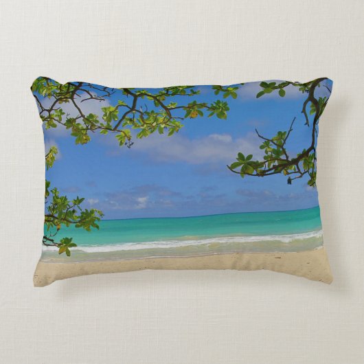 アクセント枕 アクセントクッション (正面)