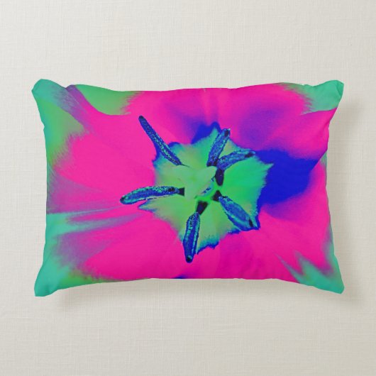 アクセント枕 アクセントクッション (正面)