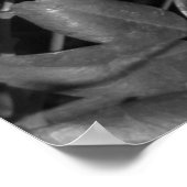 アクセント美しい ポスター (角)