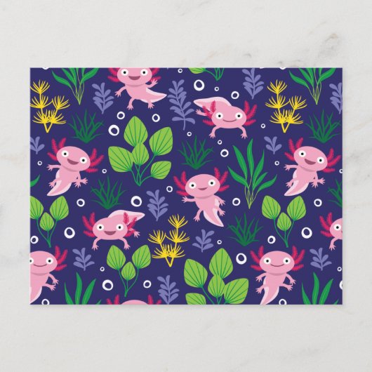 アクソロトル ポストカード (正面)