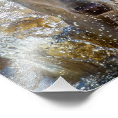 アクティブな黄色のラブラドールの飛び散り:ペット写真 フォトプリント (角)