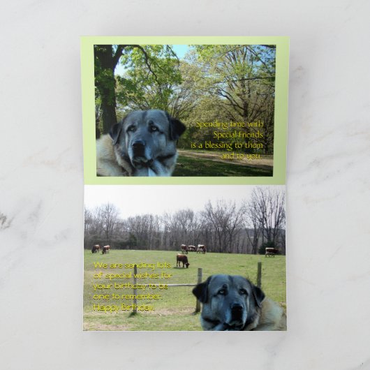 アクハイ誕生日カーカスタマイズド – 任意の大事な行事 カード (内部)