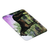 アクハルテキスタリオン マグネット (右側)