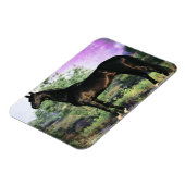 アクハルテキスタリオン マグネット (左側)