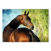 アクハルテケのタリオン (正面横)