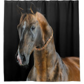 アクハルテケホース シャワーカーテン (正面)