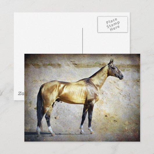 アクハルテケ ポストカード (正面/裏面)