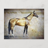 アクハルテケ ポストカード (正面)