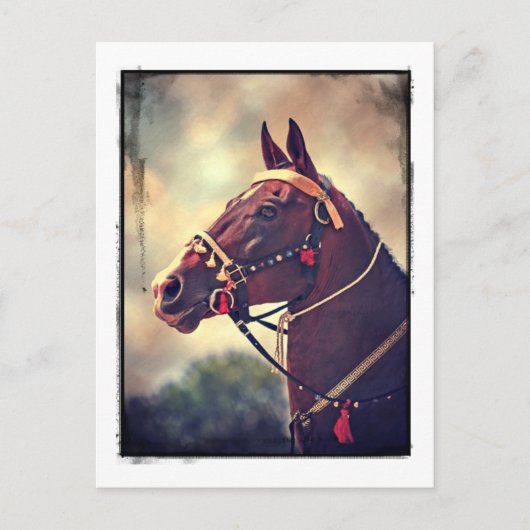 アクハルテケ ポストカード (正面)